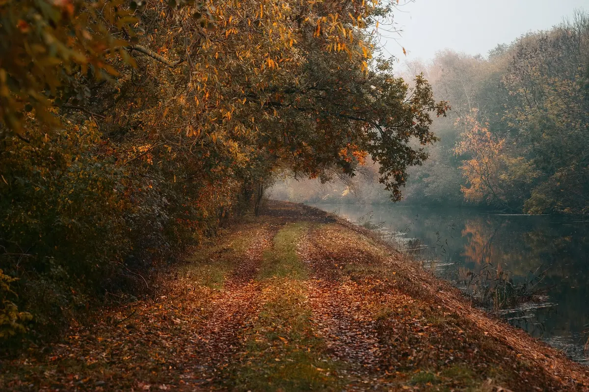Capturing Autumn Colours in Ashford's Parks: A Seasonal Photography Guide