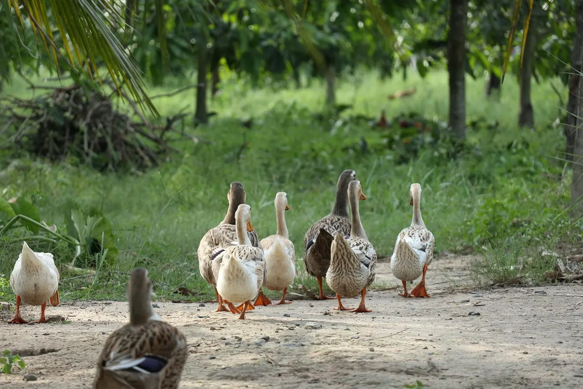 How to Lead a Photo Walk for Beginners in Your Local Area